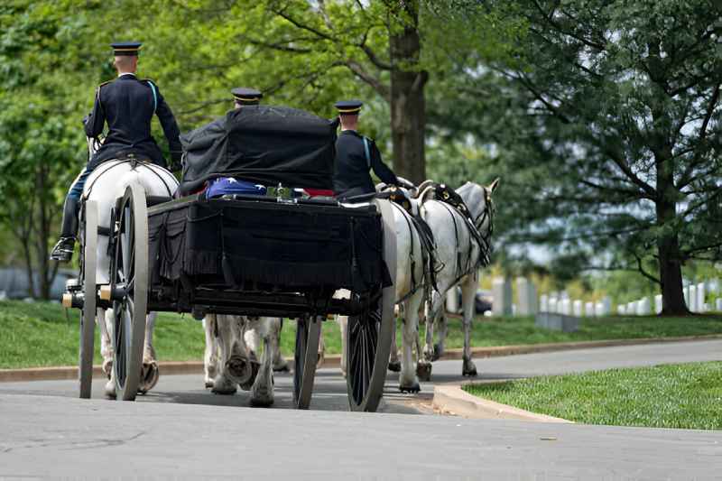 Horse and Carriage
