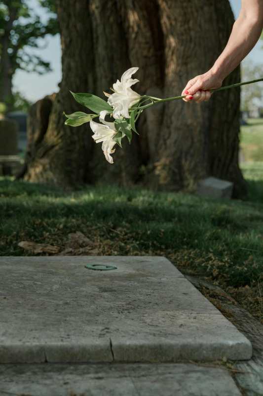 hand-leaving-white-lilies-on-grave hand-leaving-white-lilies-on-grave