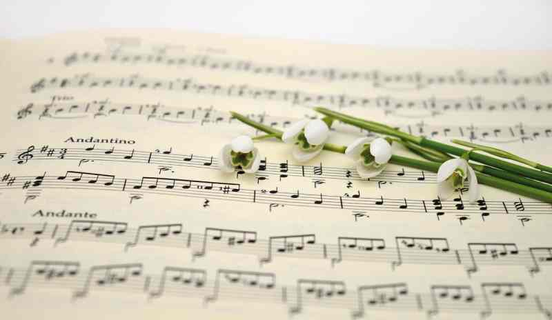 music-snowdrop music-snowdrop