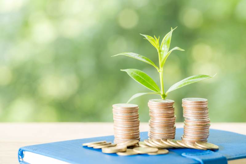 Planting trees on a coin pile